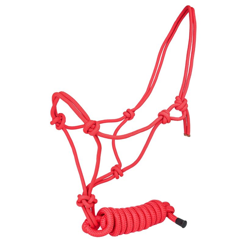 Red rope halter with multiple knots against white background.