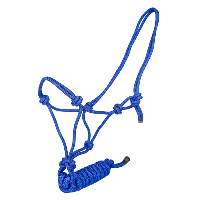 Blue rope halter with multiple knots and looped design.