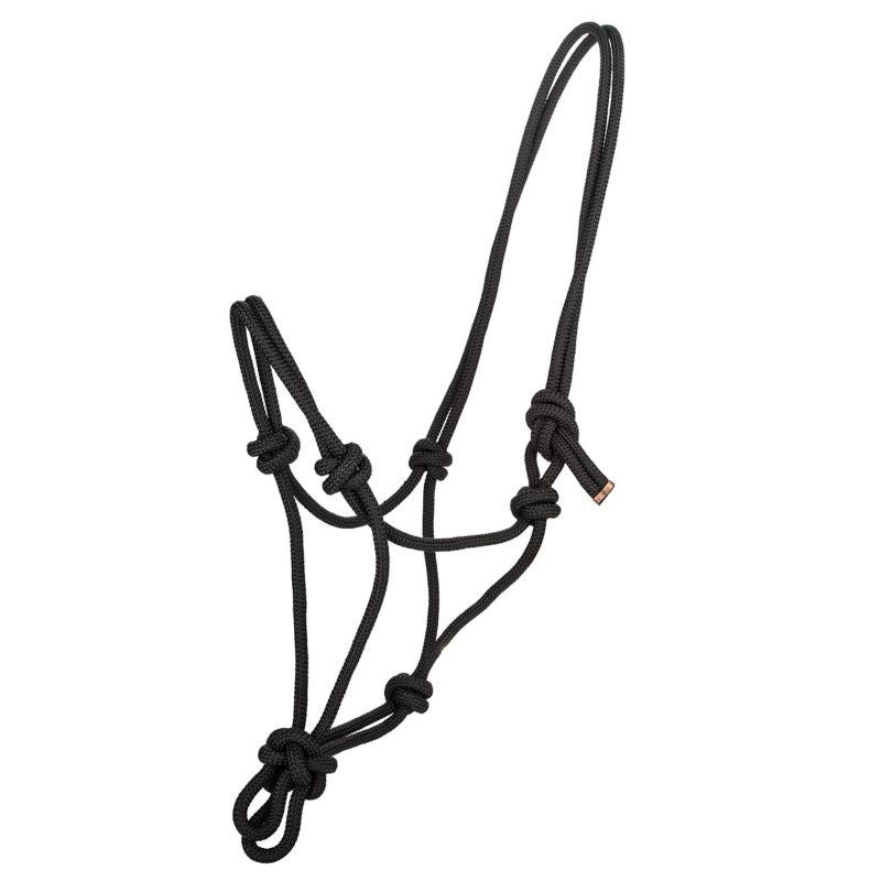 Black rope halter with multiple knots for horse handling.