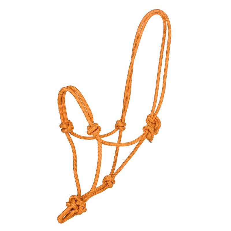 Orange, knotted rope halter for horses against white background.