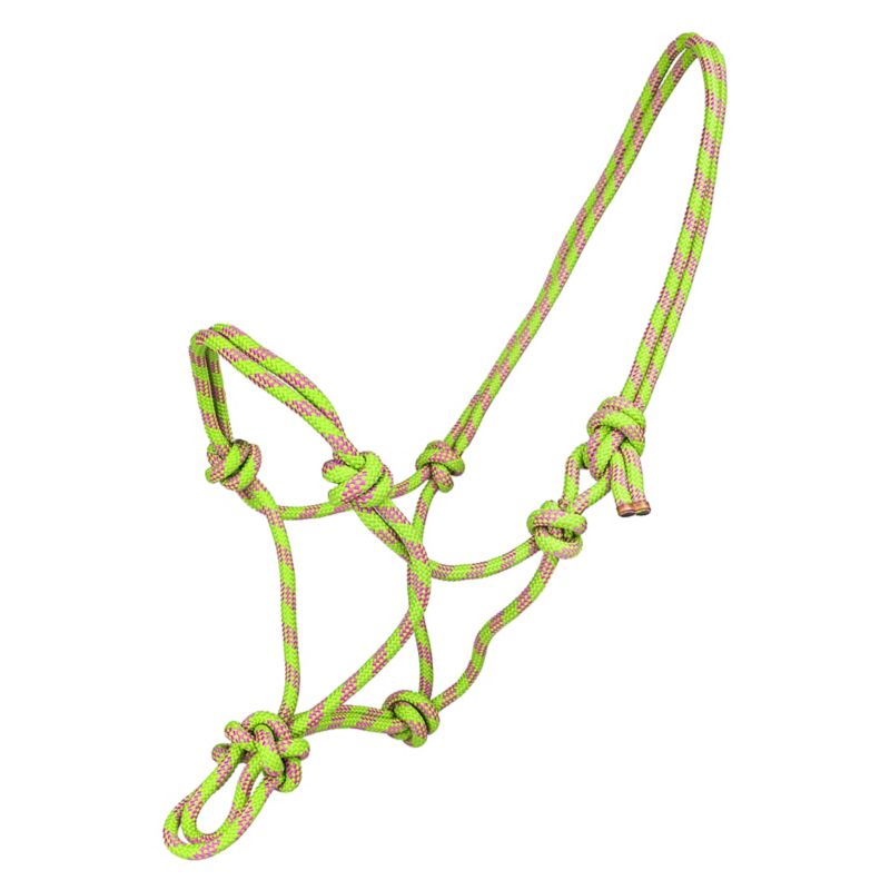 Green and pink rope halter with knots, isolated background.