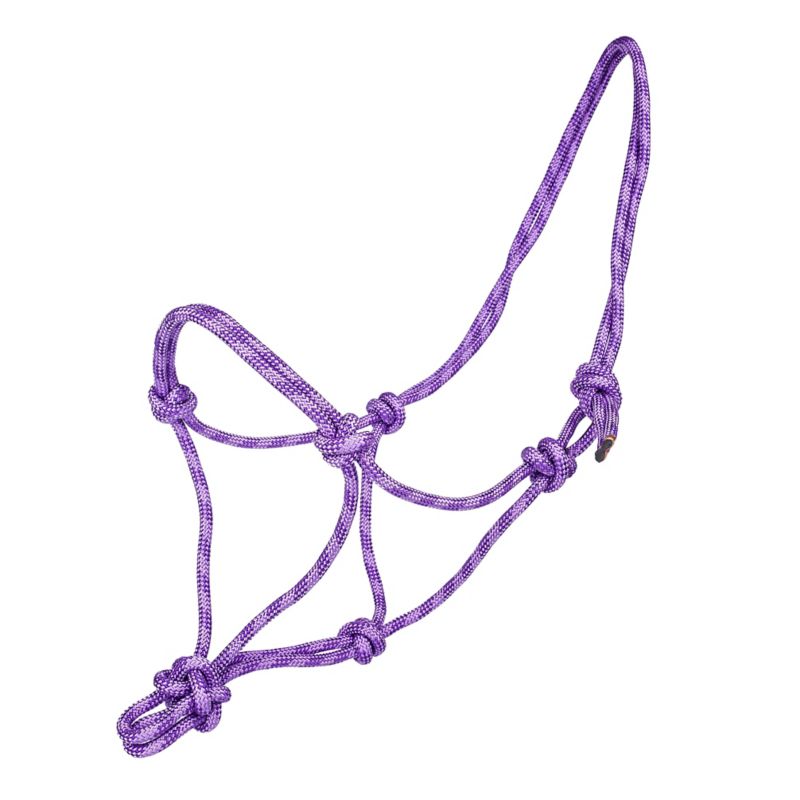 Purple rope halter with multiple knots, designed for horses.