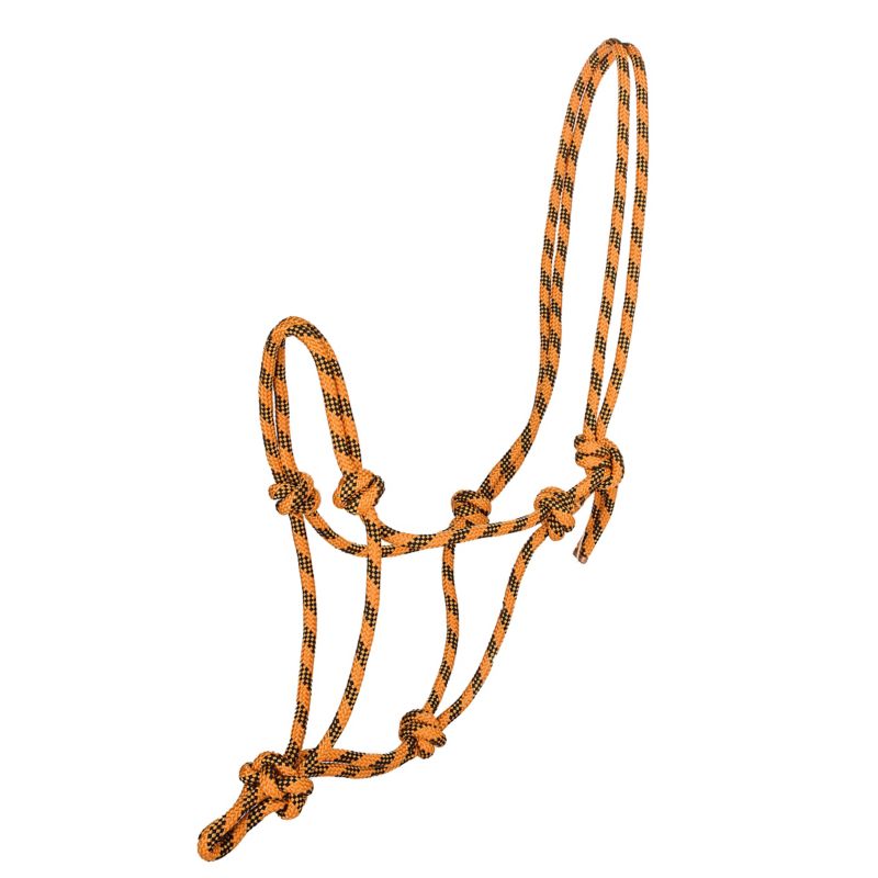 Orange and black rope halter with adjustable knot design.