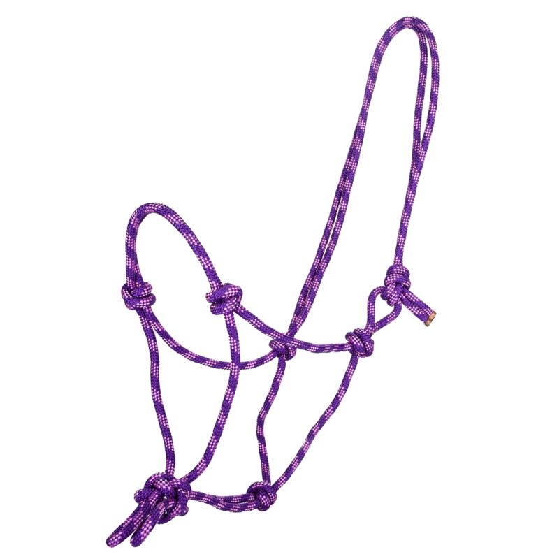 Purple braided rope halter with knotted design against white background.