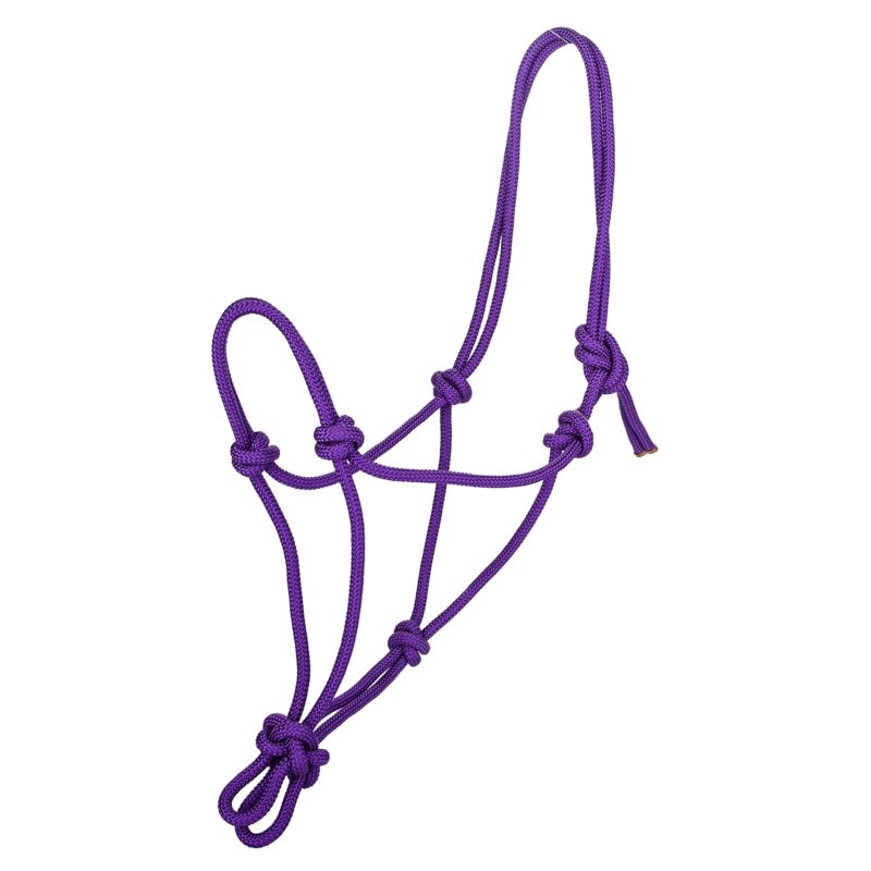 Purple rope halter with multiple knots against white background.