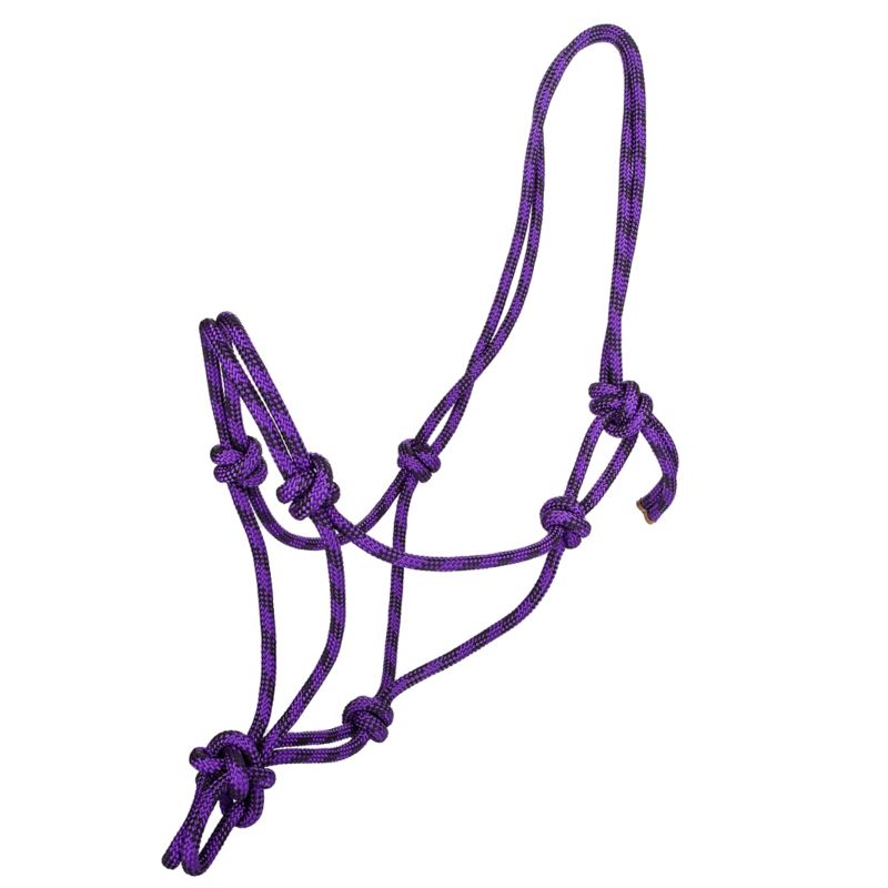 Purple rope halter with knotted design for equine use.