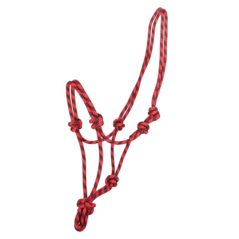 Red and black rope halter with multiple knots.