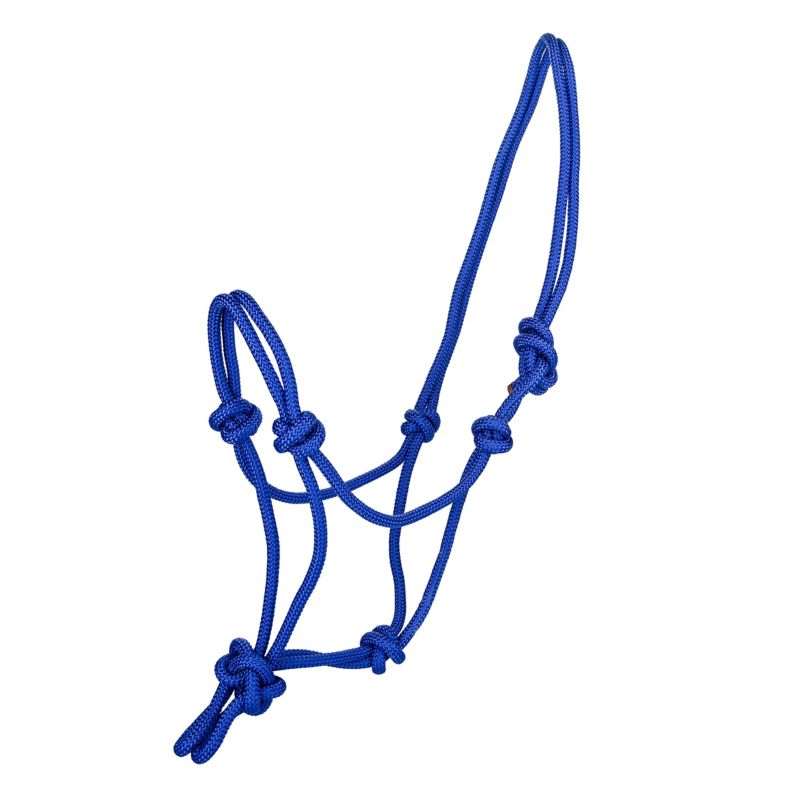 Blue rope halter with multiple knots and simple design.