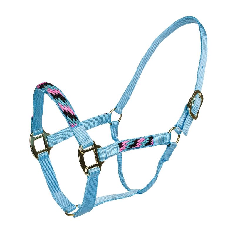 Light blue rope halter with colorful woven accents, buckles.