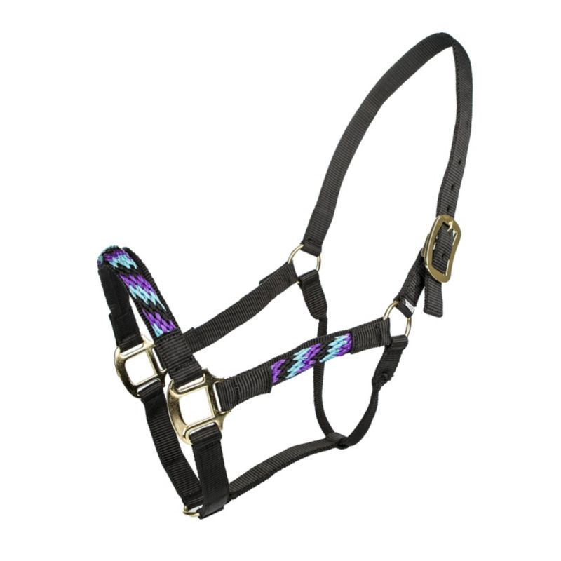 Black and colorful rope halter with adjustable metal buckles.