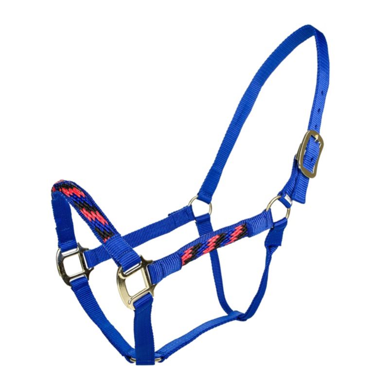 Blue and red-patterned rope halter with adjustable buckles.