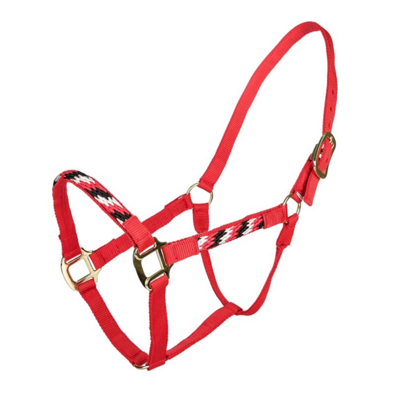 Red and black patterned rope halter with metal buckles.