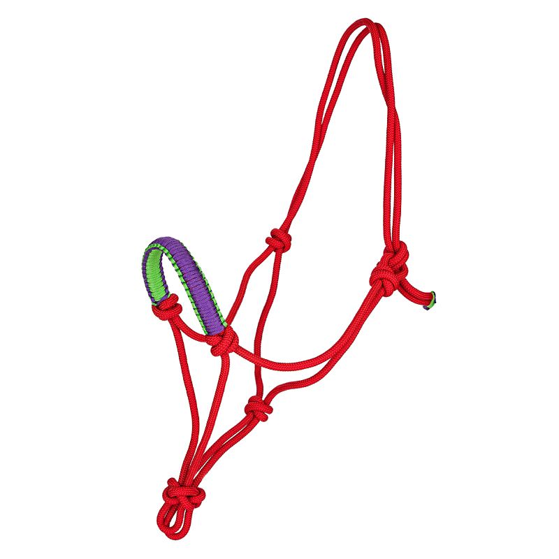 Red and purple rope halter with knot accents.