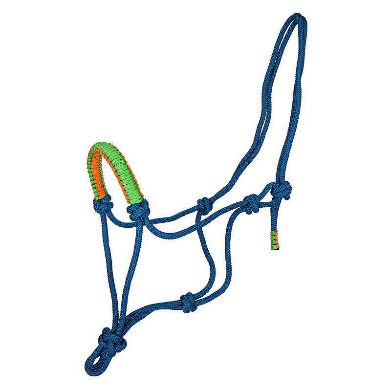 Blue rope halter with green and orange noseband accents.