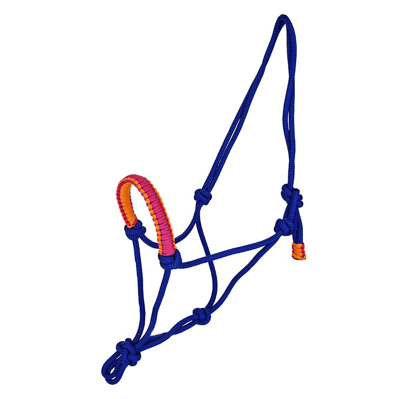 Blue and orange rope halter with intricate knot design.