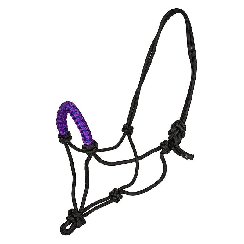 Black rope halter with purple noseband on white background.