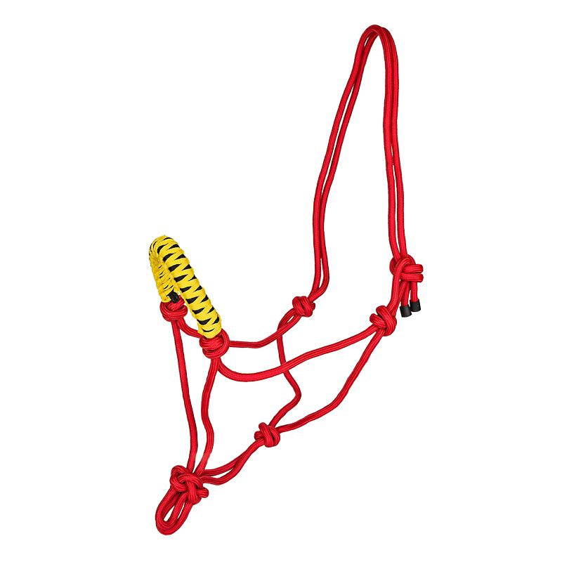 Red and yellow rope halter with black accent knots.