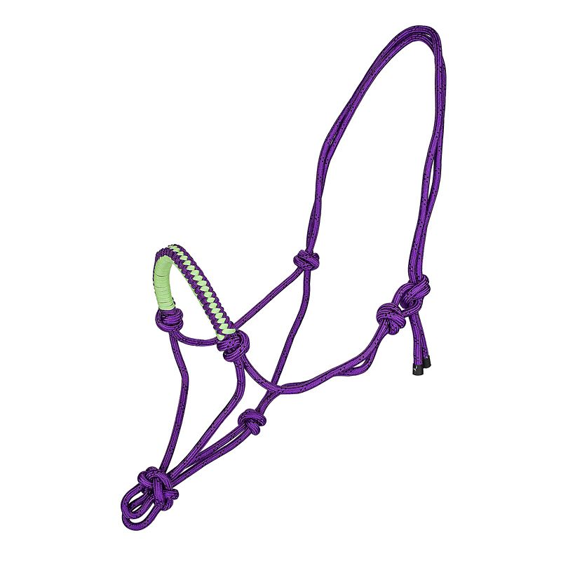 Purple rope halter with green braided noseband accent.