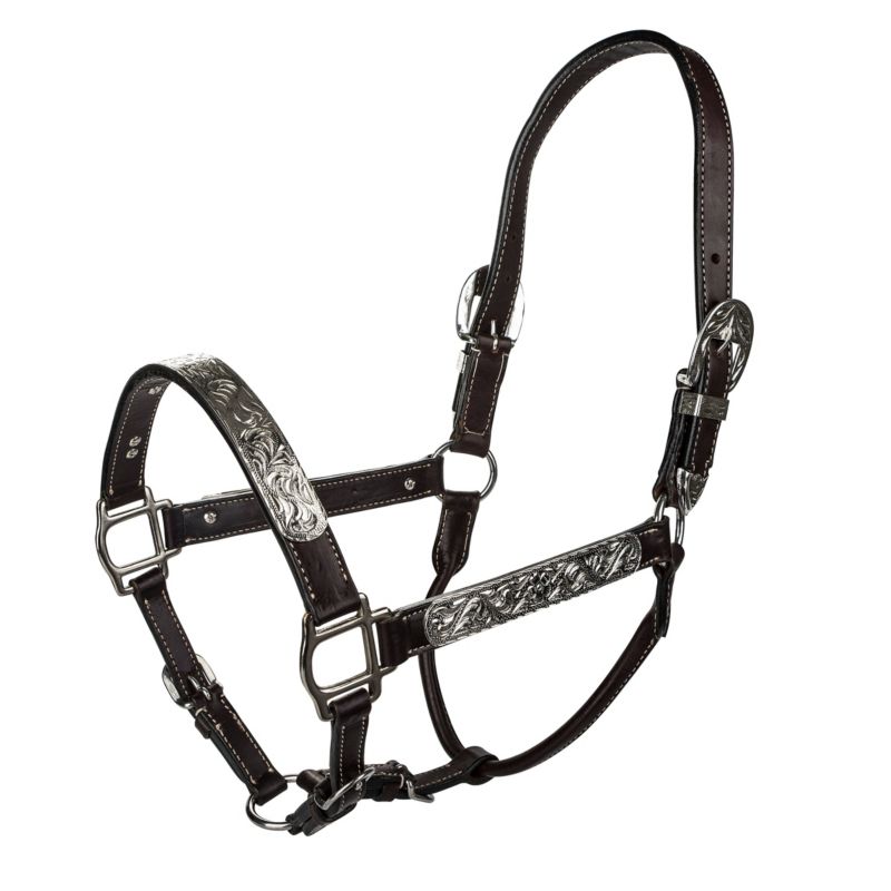 Tabelo Leather Halter with Silver Horse Black