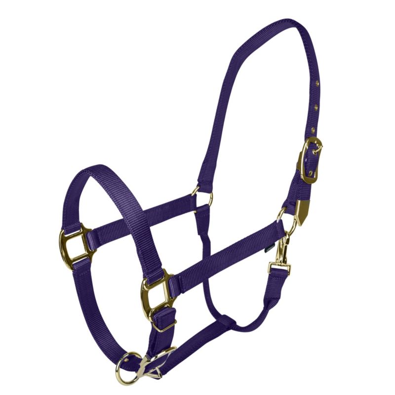 Gatsby Gold Safety Breakaway Halter Cob Black