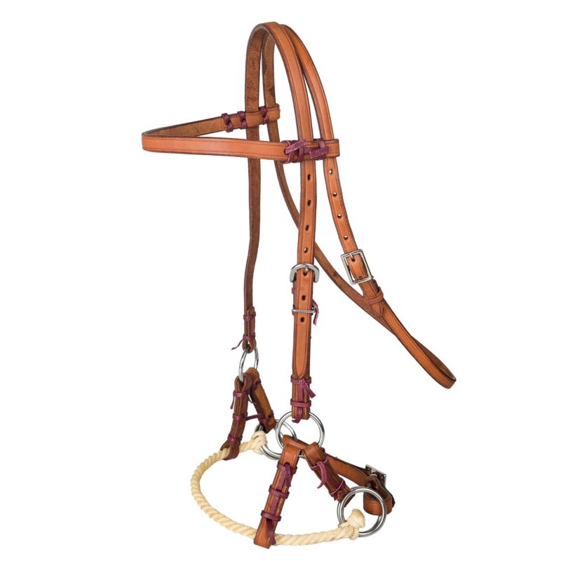 Tan and purple leather Bitless bridle with silver hardware.