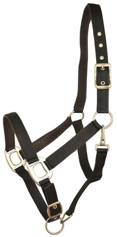 Gatsby Leather Adj Nylon Halter Horse Black