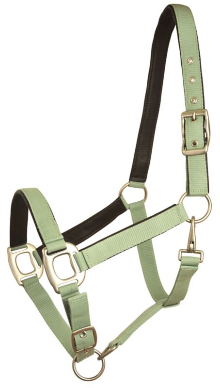 Gatsby Leather Adj Nylon Halter Cob Pistachio