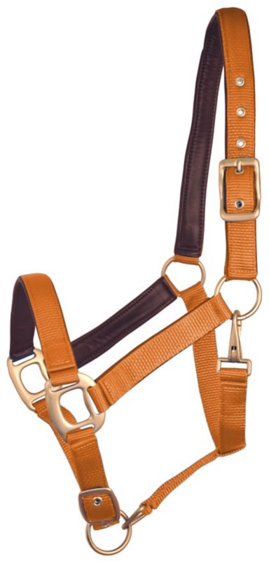 Gatsby Leather Adj Nylon Halter Cob Pumpkin