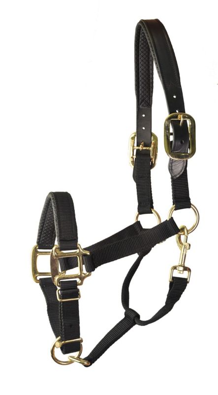 Gatsby Premium Nylon Halter w/Leather Horse Black