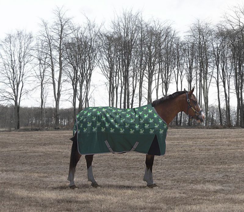 Horse wearing green turnout blanket printed with horse design.