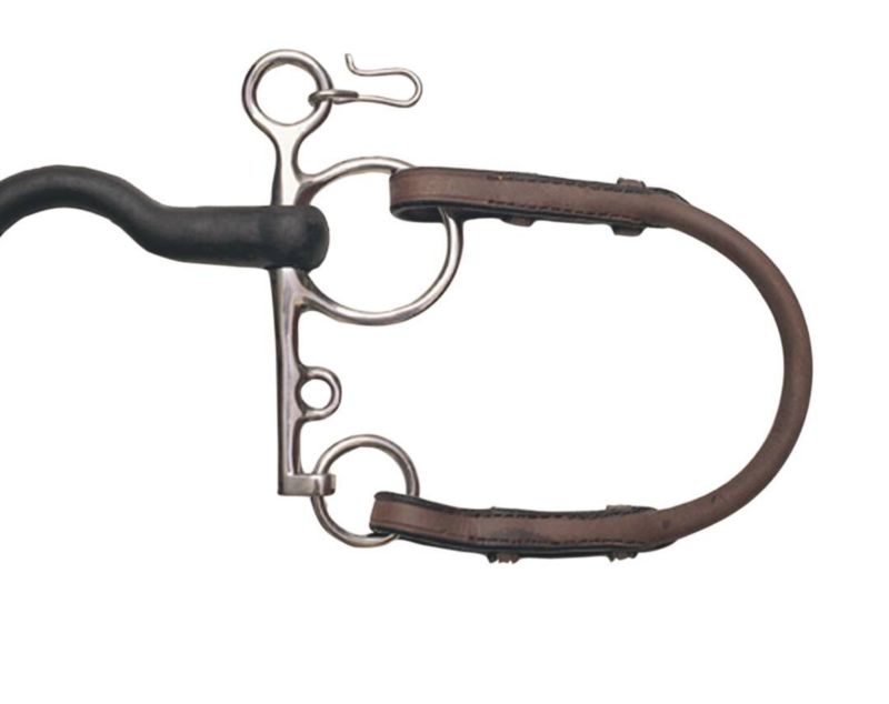 Close-up of a pelham bit with leather curb strap.