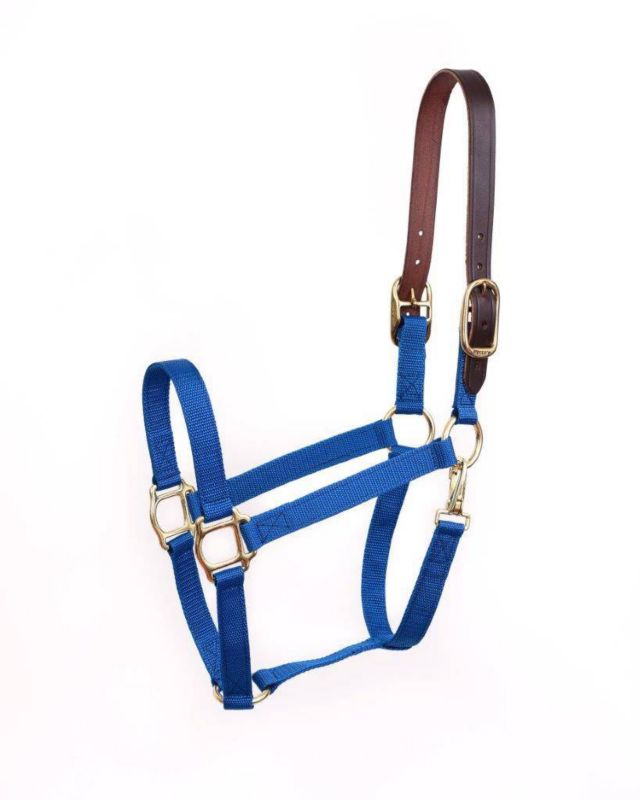 Perris Breakaway Nylon Safety Halter Horse Royal