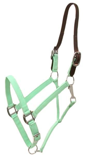 Gatsby Breakaway Halter w/Snap Oversize Mint