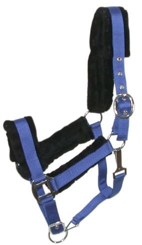 Gatsby Nylon Halter w/Fleece Horse Royal Blue