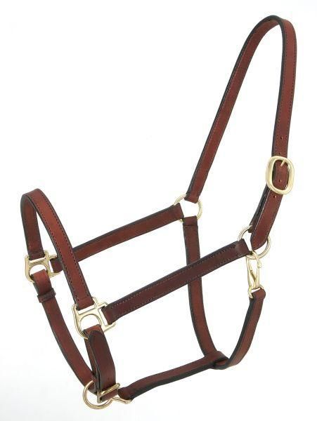 Royal King Narrow Leather Track Halter Horse