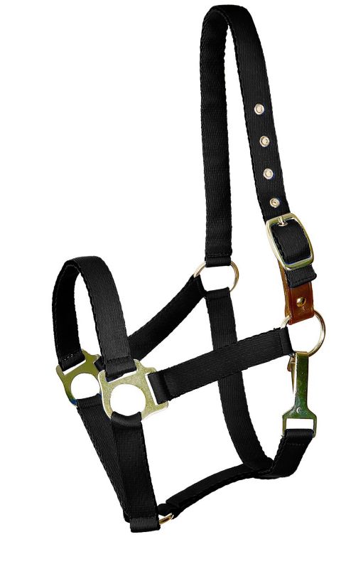 Gatsby Ultra Soft Nylon Safety Halter Pony Black