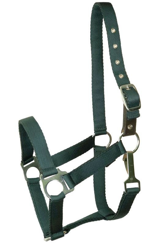 Gatsby Ultra Soft Nylon Safety Halter Pony Hunter