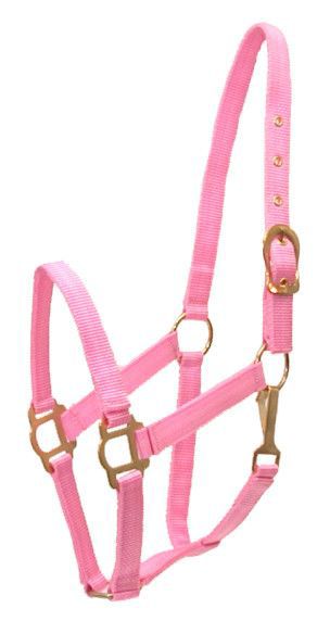 Gatsby Classic Nylon Halter w/Snap Pony Pink