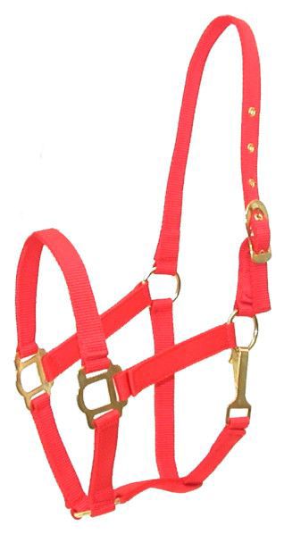 Gatsby Classic Nylon Halter w/Snap Pony Red