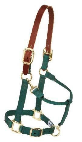 Weaver Leather Breakaway Strap Averag/Large