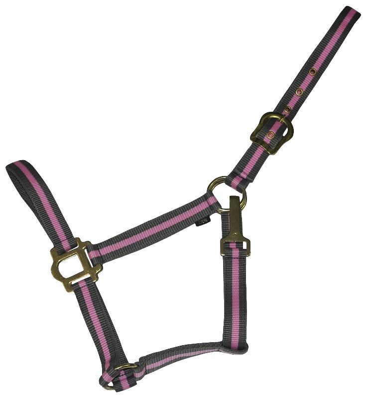 Gatsby 2Tone Nylon Halter w/Snap OverSizeGrey/Pink