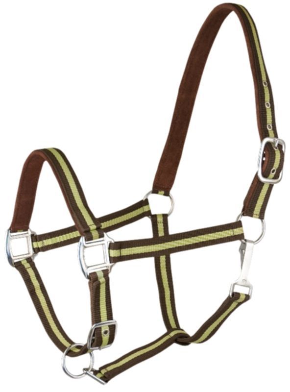 Gatsby 2Tone Suede Nylon Halter Cob Brown/Green