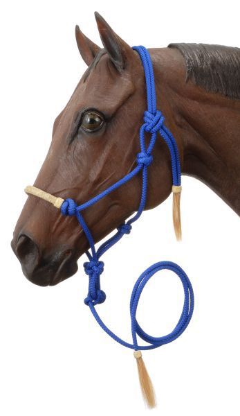 Brown horse wearing a blue rope halter with tassels.