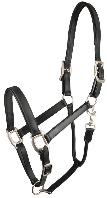 Gatsby Adjustable Padded Leather Halter Horse Blk