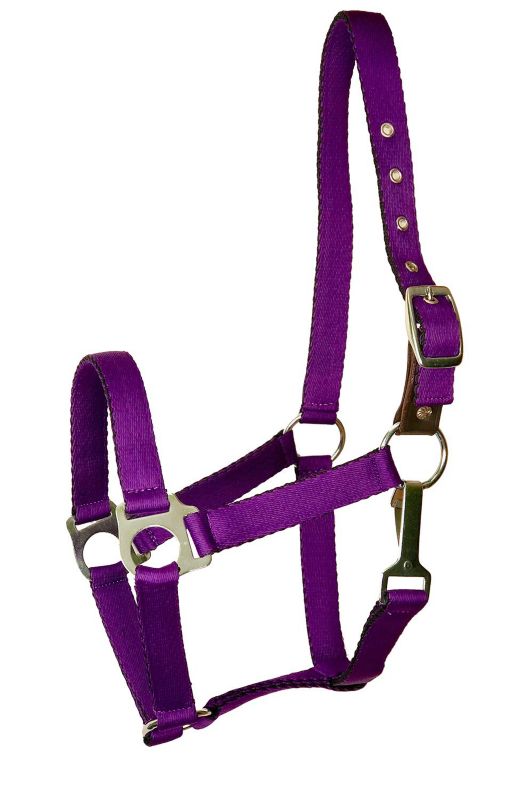 Gatsby Ultra Soft Nylon Safety Halter Pony Purple