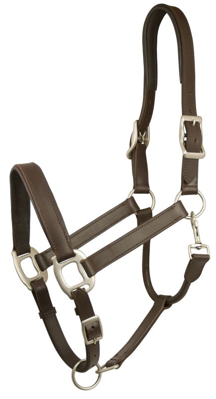 Gatsby Adj Padded Leather Halter Horse Brown