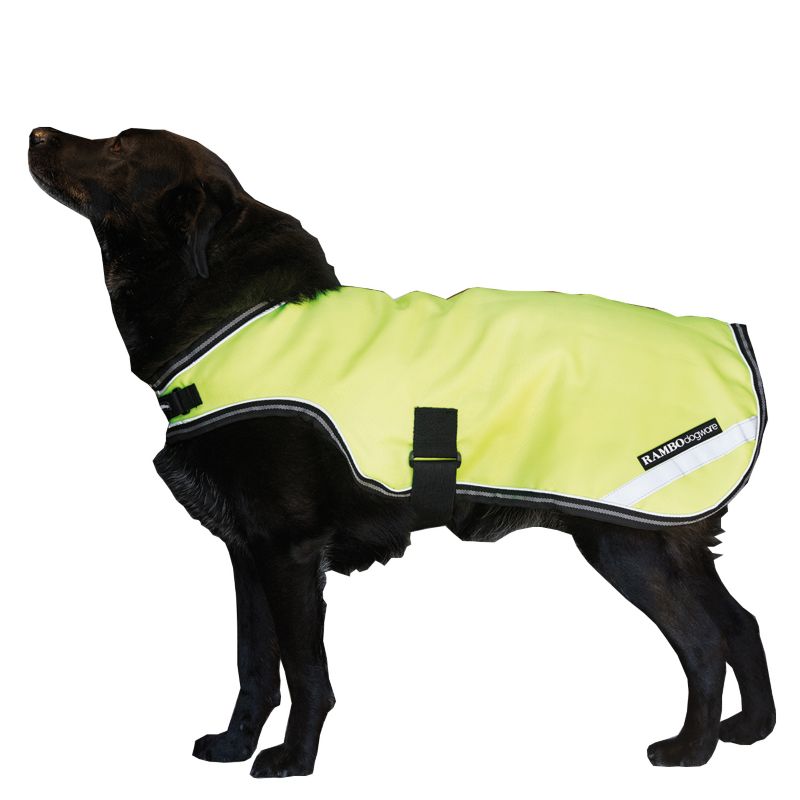 Black dog wearing Horseware reflective yellow jacket, white background.