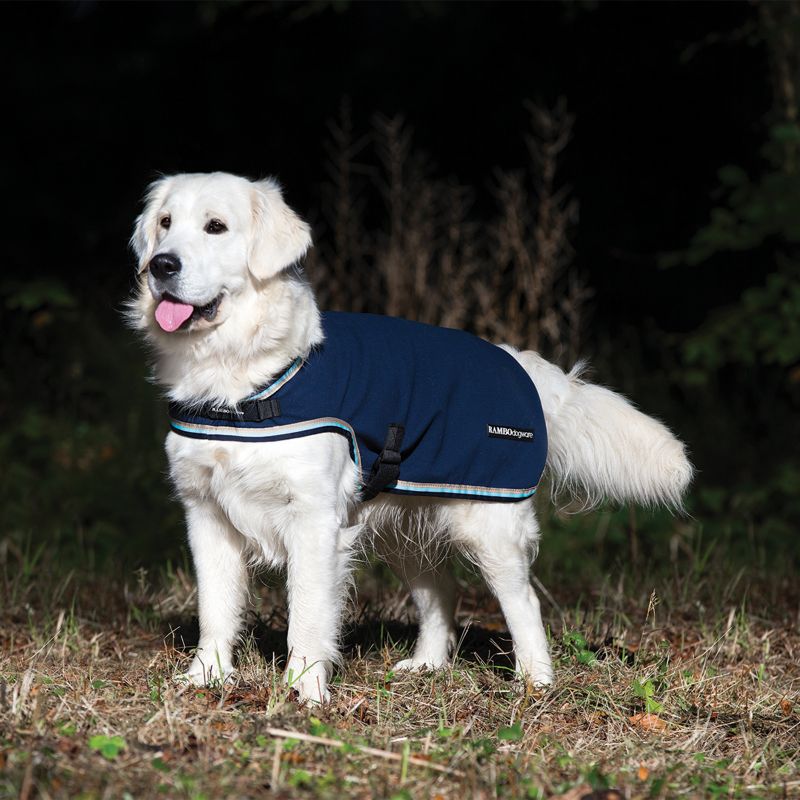 Golden retriever wearing a Horseware branded dog blanket outside.