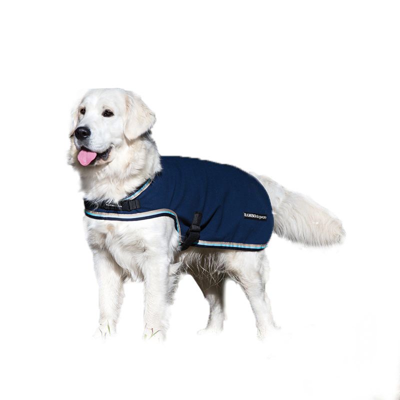 Golden Retriever wearing a Horseware dog blanket, standing, white background.