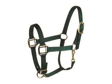 Deluxe 3-Ply Adjustable Nylon Halter w/Snap Averag